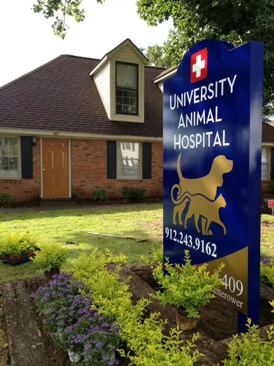 University Animal Hospital, Georgia, Statesboro